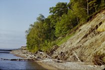 View south along the beach